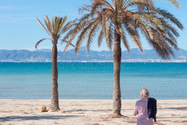 playa soleada con palmeras y turistas