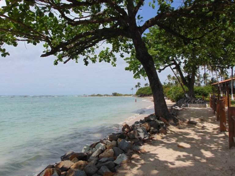 playas paradisiacas en morro de sao paulo
