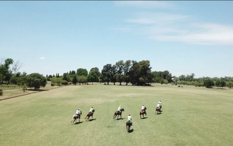 Qué servicios ofrece La Estacada Polo & Lodge en Argentina 23 polo en accion en un paisaje argentino