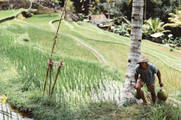 pueblo indigena en armonia con la naturaleza
