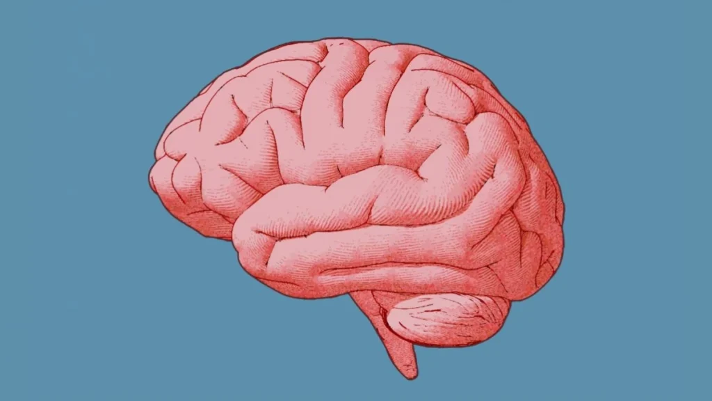 Qué son el ello, yo y superyó según Freud 8 Qué son el ello, yo y superyó según Freud