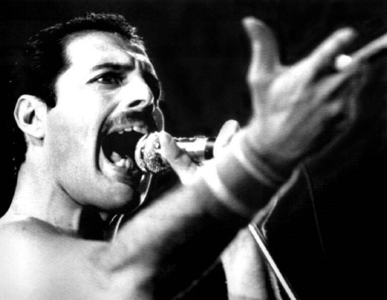 retrato de freddie mercury en concierto