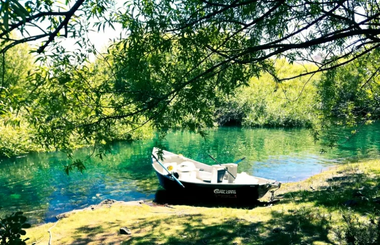rio limay rodeado de paisajes naturales
