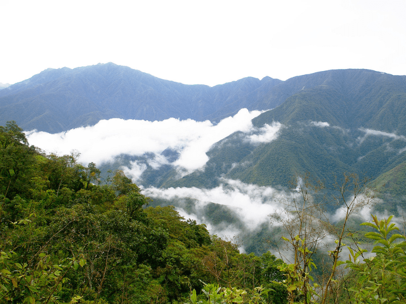 Qué es la selva de las Yungas en Argentina y qué la hace especial 8 Qué es la selva de las Yungas en Argentina y qué la hace especial