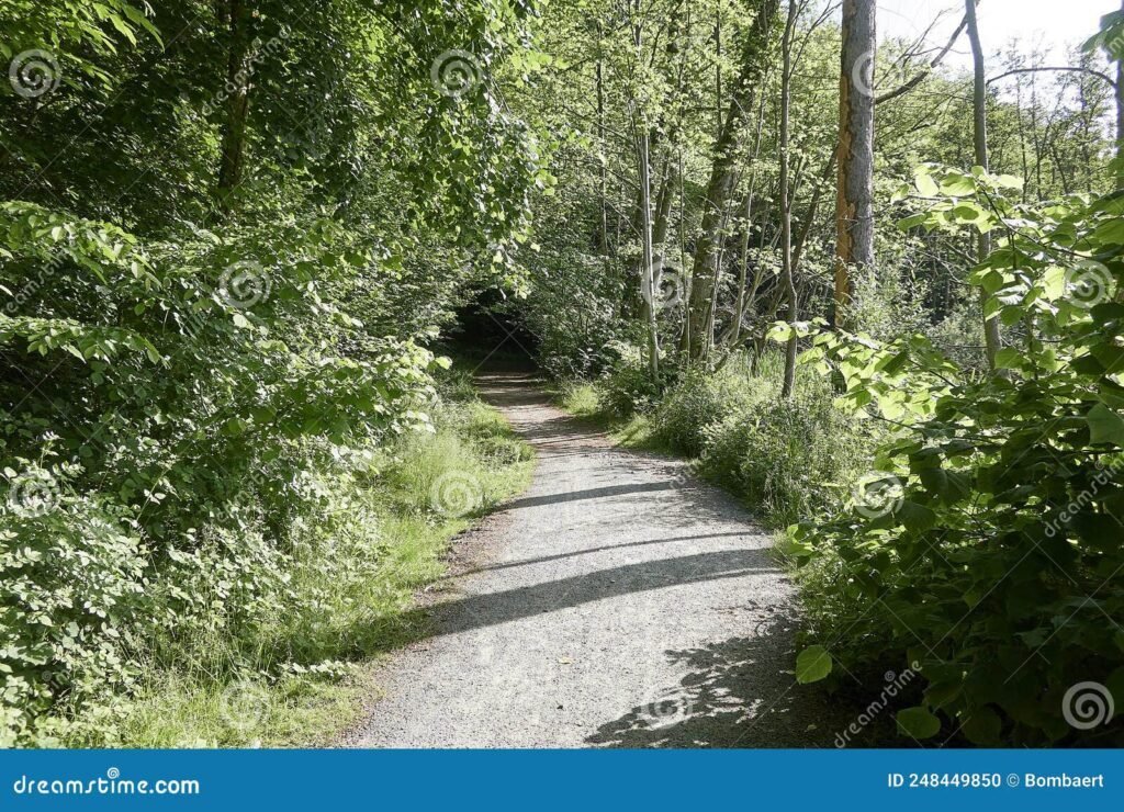 Dónde se encuentra el sendero de caminatas Arroyo Rama Negra