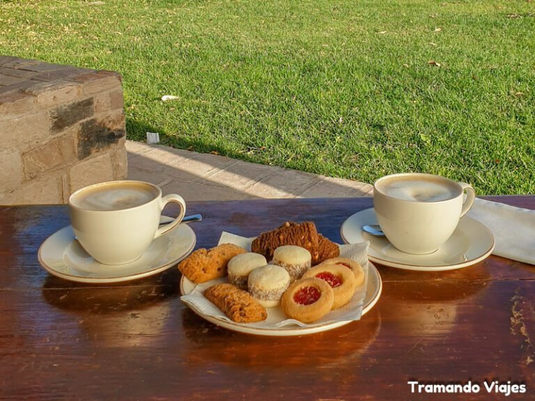 Cuáles son los mejores lugares para tomar el té en Mendoza 28 taza de te con paisaje mendocino