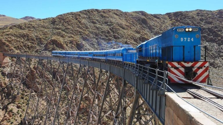 tren viajando por un paisaje argentino 1