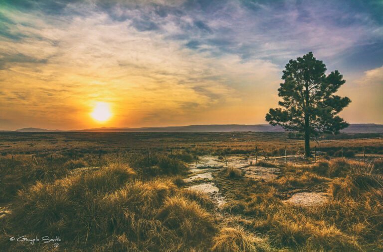 De qué trata la canción "Si No Te Hubieras Ido" de Marco Antonio Solís 16 un paisaje nostalgico al atardecer
