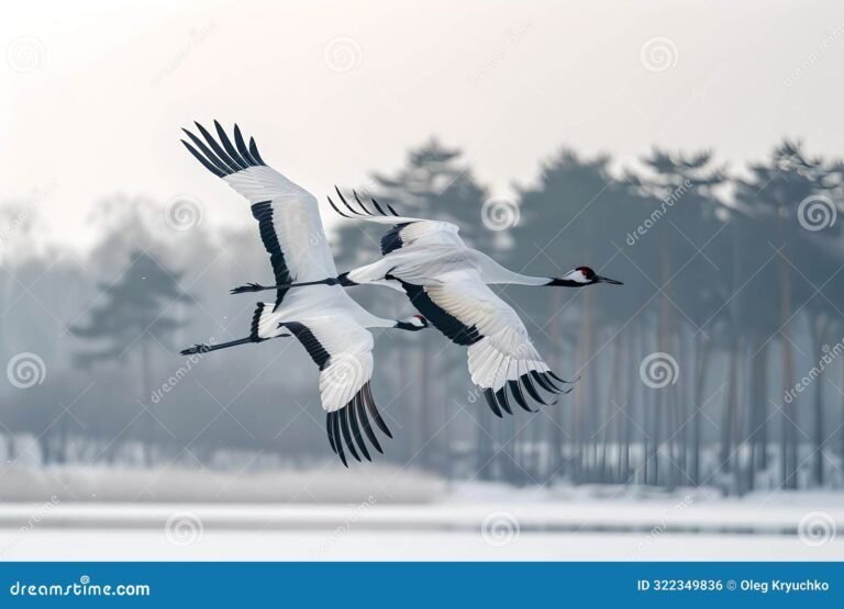 un paisaje sereno con aves volando 1