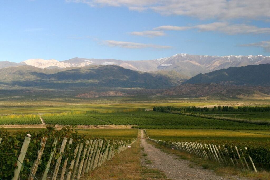 Qué actividades y bodegas visitar en la ruta del vino San Juan 5 Qué actividades y bodegas visitar en la ruta del vino San Juan