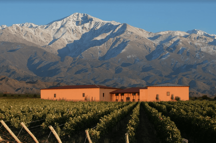 Qué lugares imperdibles visitar en Mendoza para disfrutar del turismo 1 vinedos en mendoza con montanas de fondo