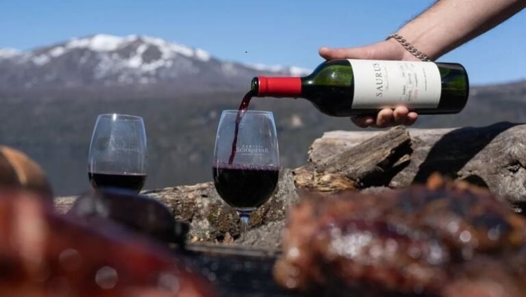 vinedos y bodegas en neuquen 1