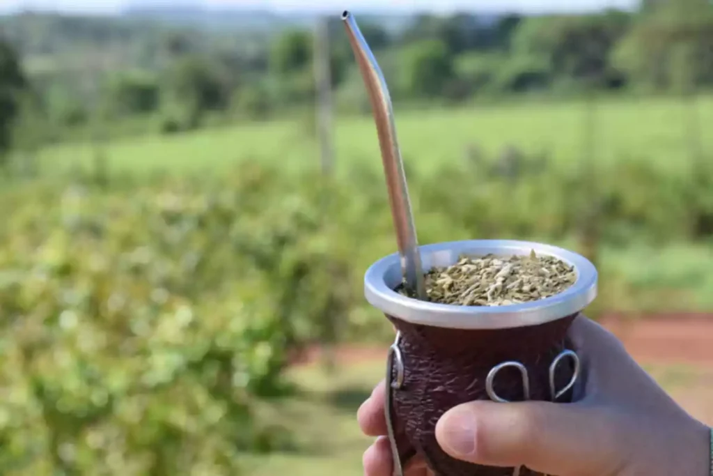 Cómo cebar un buen mate y disfrutar de su sabor auténtico 8 Cómo cebar un buen mate y disfrutar de su sabor auténtico