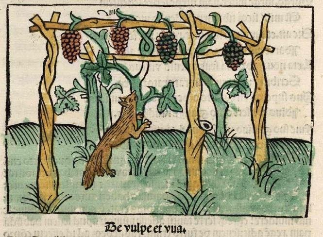 zorra mirando uvas en una parra